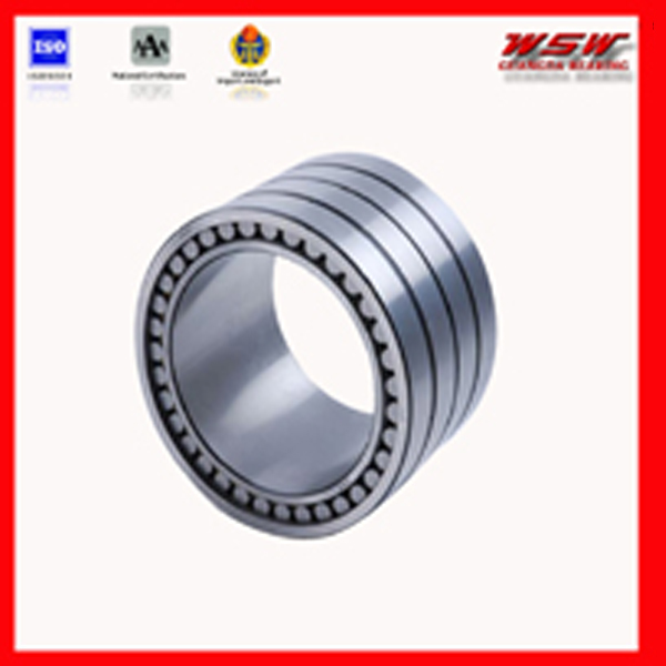 313646 cylindrical roller bearing